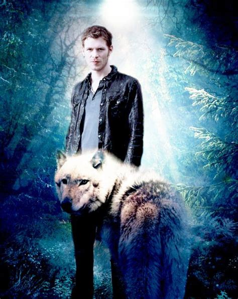 Klaus mikaelson wolf form - Werewolf Venom is an ability of werewolves and vampire-werewolf hybrids to generate an extremely deadly toxin that is fatal to vampires and harmful to Original vampires. It is secreted through their fangs which allow them to be transferred through a bite. They are produced by the salivary glands found in mouths of both werewolves and hybrids and is usually used as a weapon against their ...